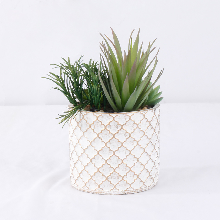 Garden-Decoration-Succulent-Mix-of-Succulents-with-Pot-Hot-Sale (3).jpg